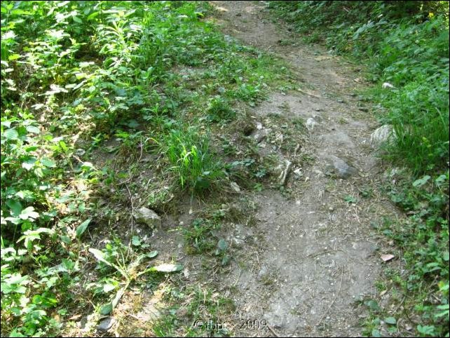 palos_09_09.jpg