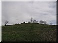 kerepesi_08_01.jpg