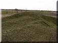 ladanybene_09_05.jpg