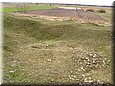 ladanybene_09_10.jpg