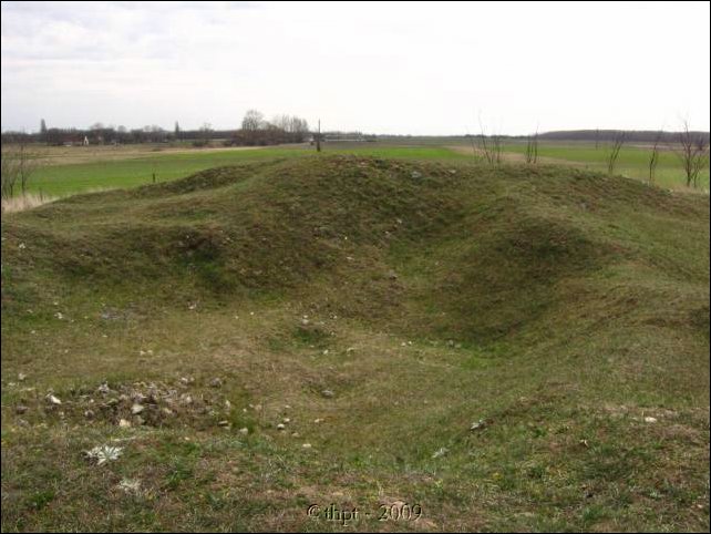 ladanybene_09_08.jpg