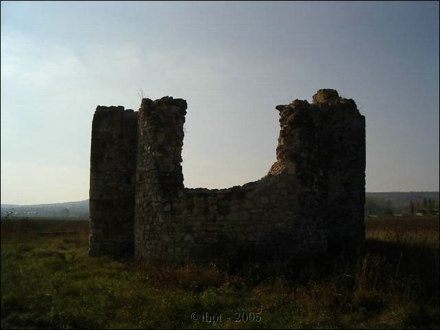 tok_05_17.jpg